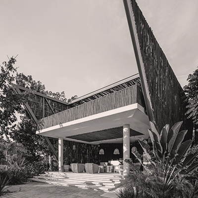 PP-ophelia PP-ophelia